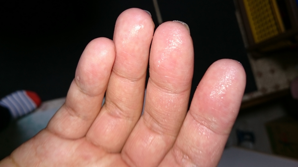 f:id:sasashi:20170128204925j:plain