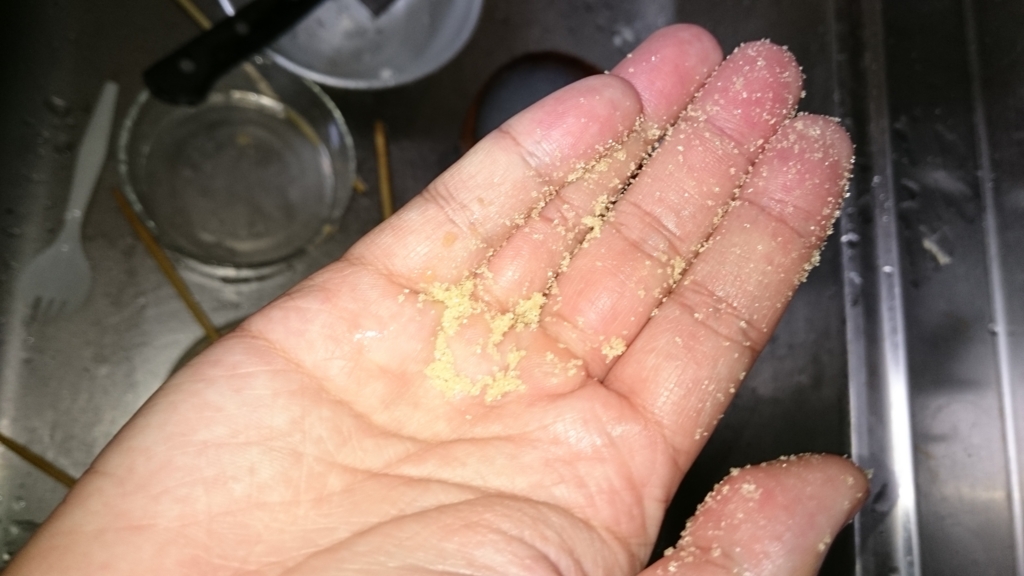 f:id:sasashi:20170128205019j:plain