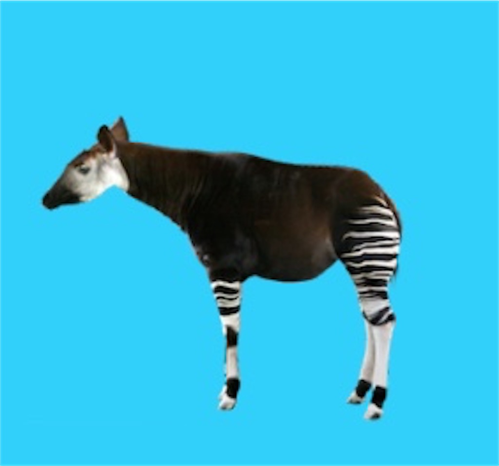 f:id:sasatanwwwww:20171126214747j:image