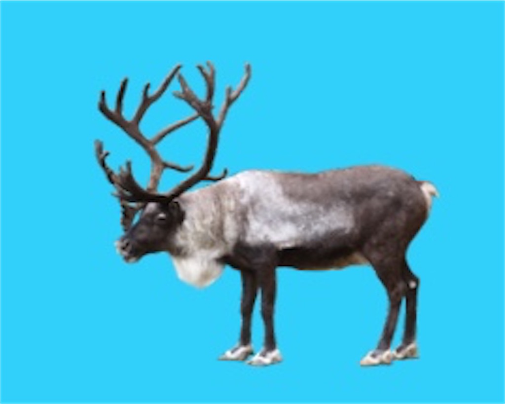 f:id:sasatanwwwww:20171126215050j:image