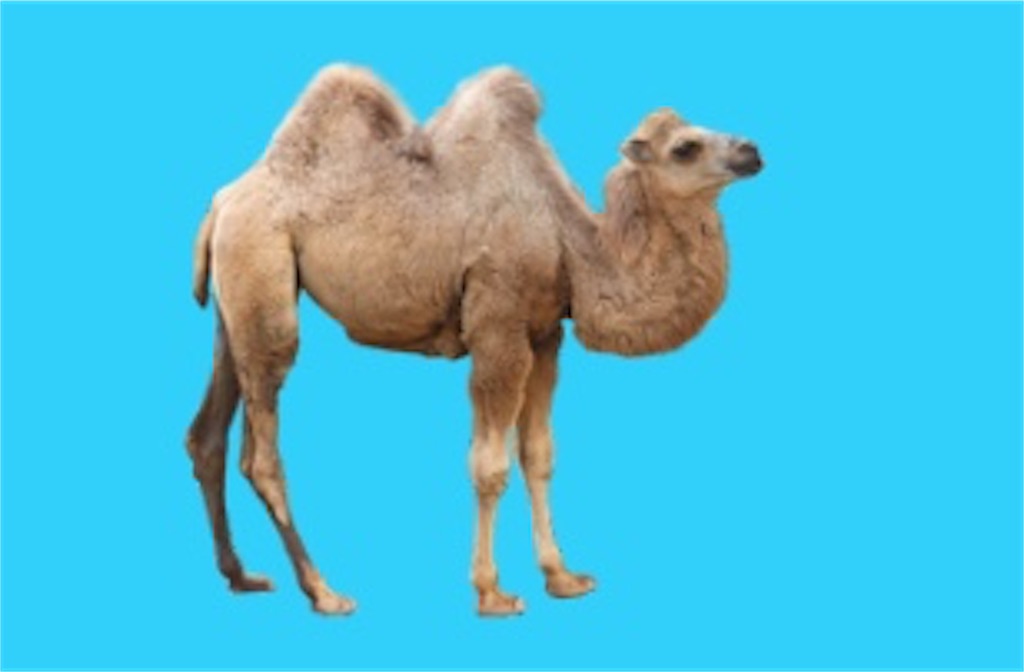 f:id:sasatanwwwww:20171126215525j:image