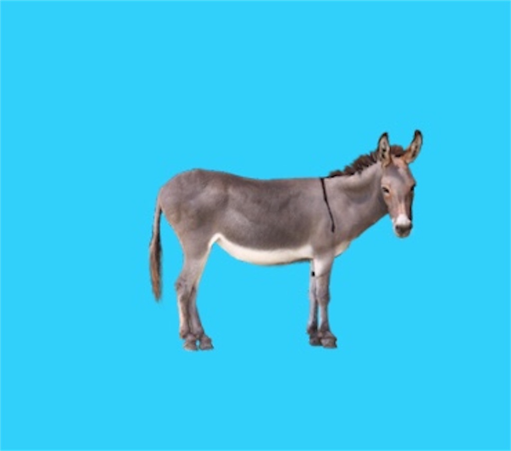 f:id:sasatanwwwww:20171126225140j:image