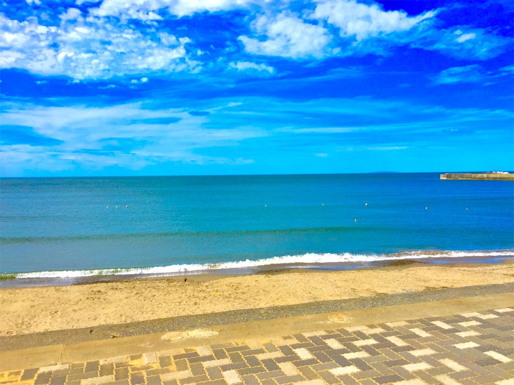 f:id:sasatanwwwww:20230717222838j:image