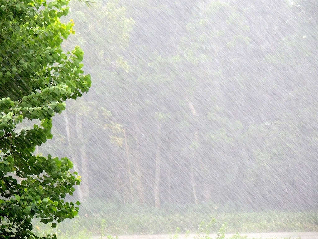 f:id:sasatanwwwww:20251020223654j:image