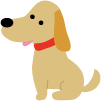 f:id:sasatra:20180706154508g:plain f:id:sasatra:20180706154508g:plain