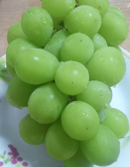 f:id:sasayamanodoka:20181003233552j:plain f:id:sasayamanodoka:20181003233552j:plain