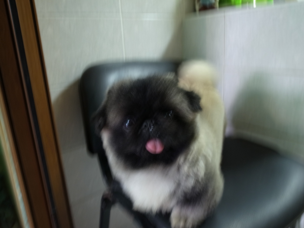 f:id:sashim:20160110075929j:plain f:id:sashim:20160110075929j:plain