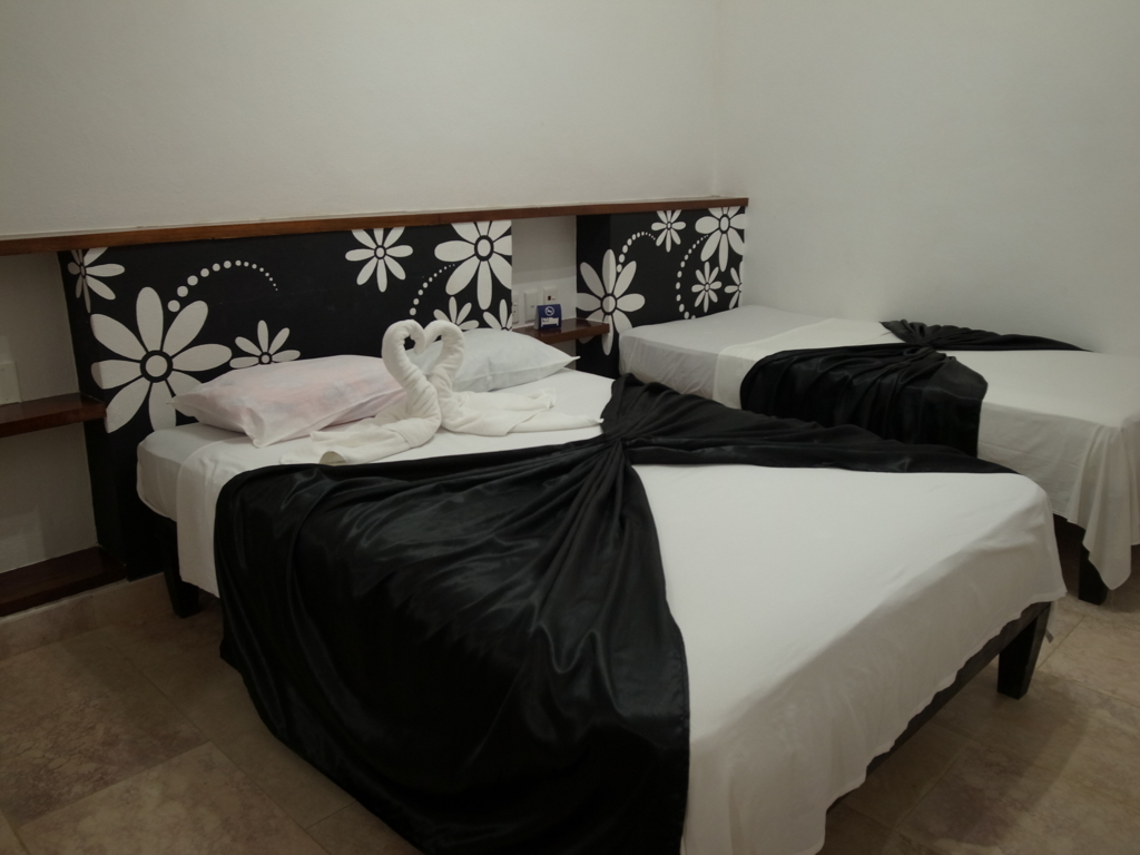 f:id:sashim:20160111085234j:plain f:id:sashim:20160111085234j:plain