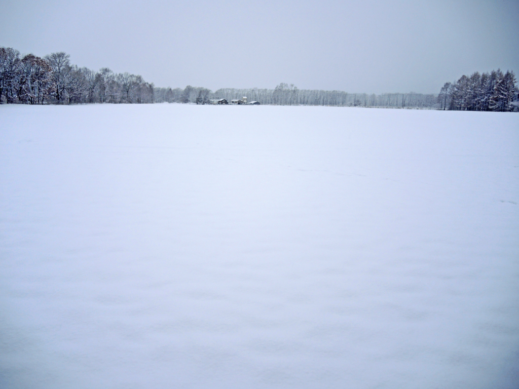 雪の牧草地（上士幌町）-5-16.11