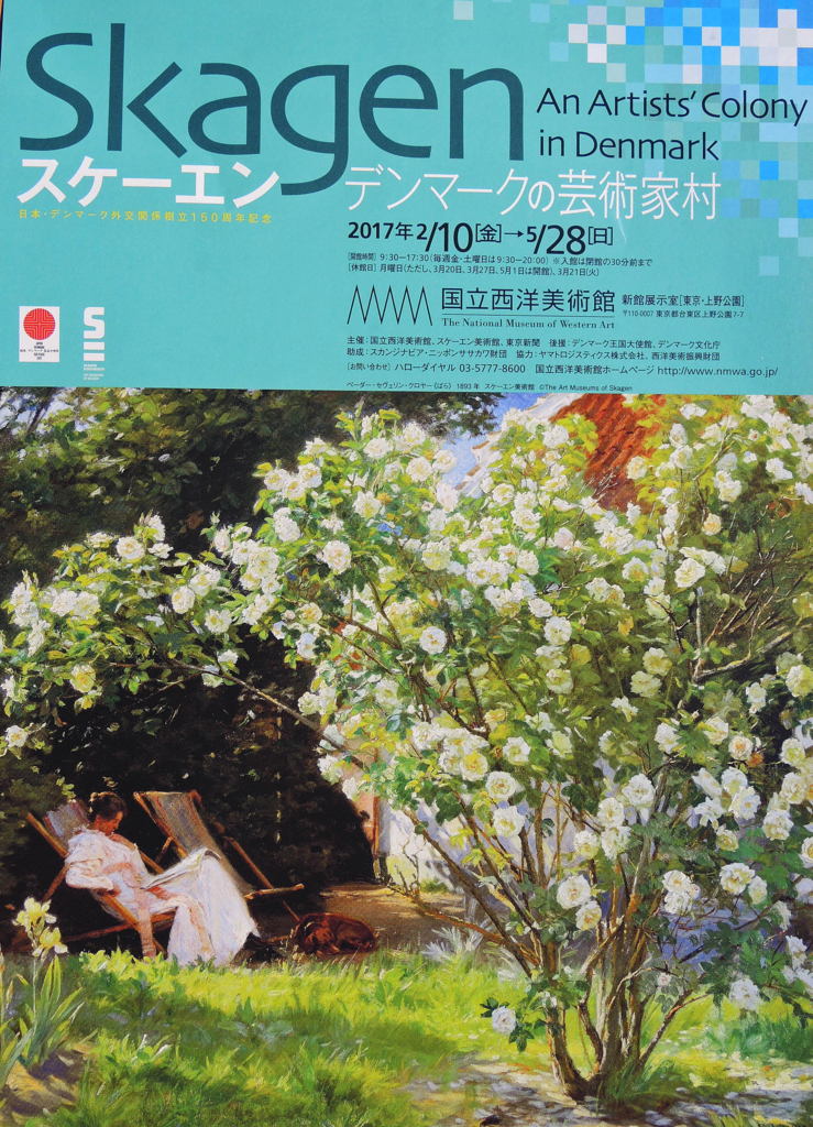 個別 スケーエン展覧会チラシ 東京国立西洋美術館 の写真 画像 東京 Sashimi Fish1 S Fotolife