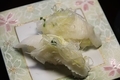 エンガワ鮨