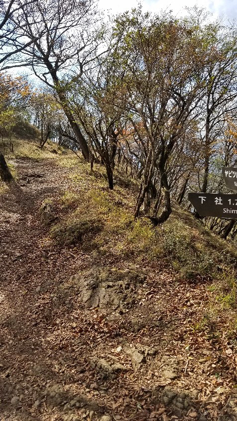 大山山行（神奈川県）-7-19.11