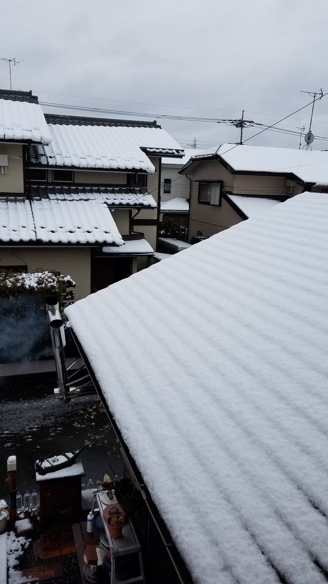 きょうは単独ツイッターの日 まっつぐ Tadakatsu Asou Slowseafish で発信 どこゆきカウントダウンー２０２０ー