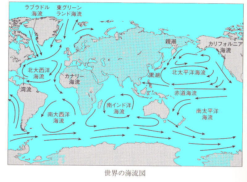 岩手から北太平洋海流めぐり沖縄まで 漁業用コンテナ９年半の長旅 どこゆきカウントダウンー２０２０ー