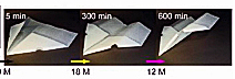 f:id:sashimi-fish1:20210204180546j:image:w300:right