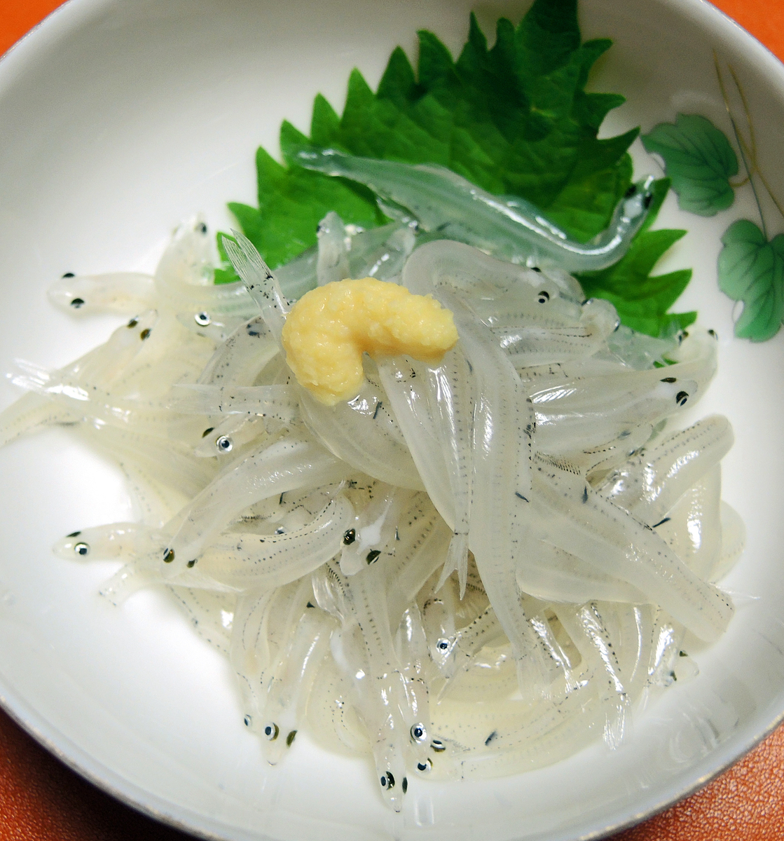 f:id:sashimi-fish1:20210311162931j:image:w150:left