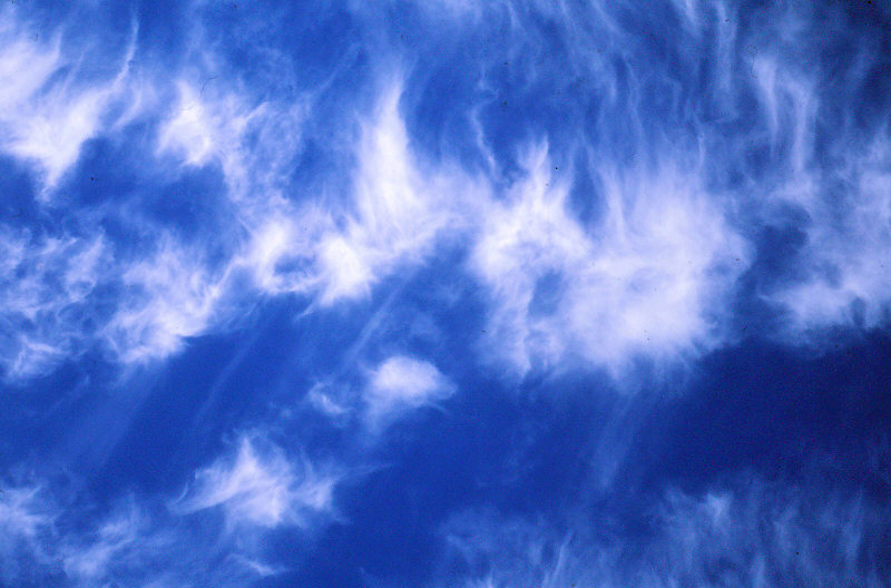 f:id:sashimi-fish1:20210331105037j:image:w270:right