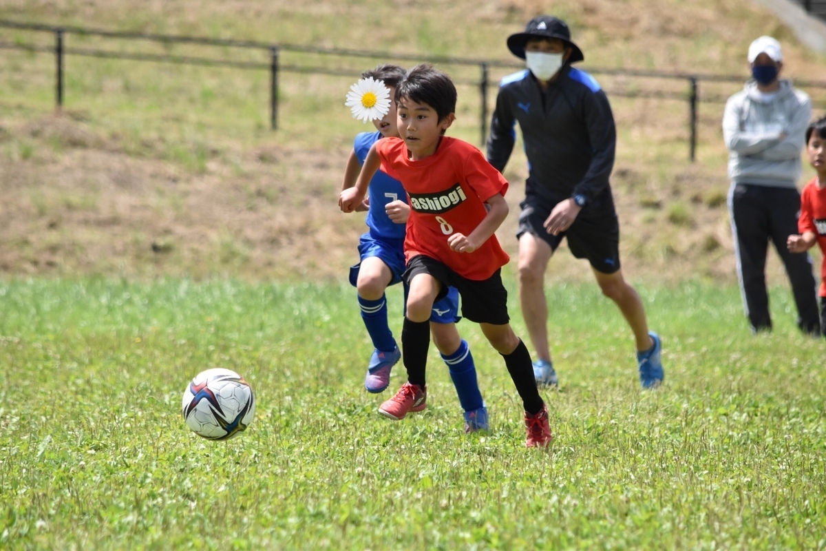 加須 は な さき 公園 多目的 グラウンド