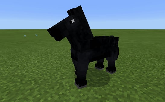 horse