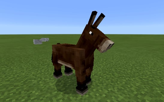 mule