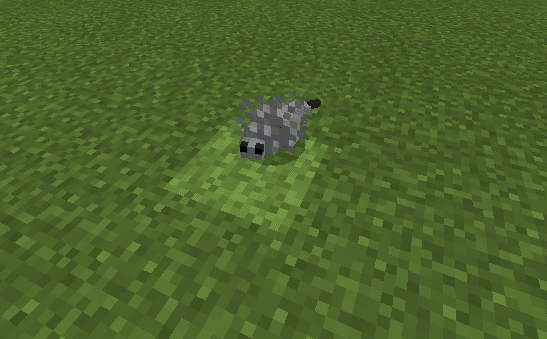 silverfish