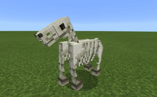 sleketonhorse