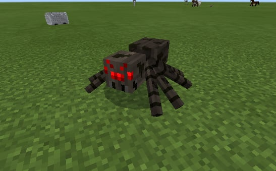 spider