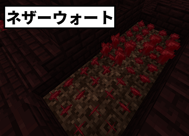 ネザーウォート