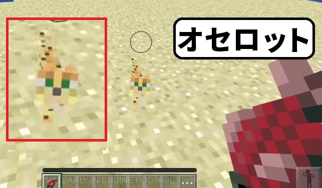 オセロット(ヤマネコ)