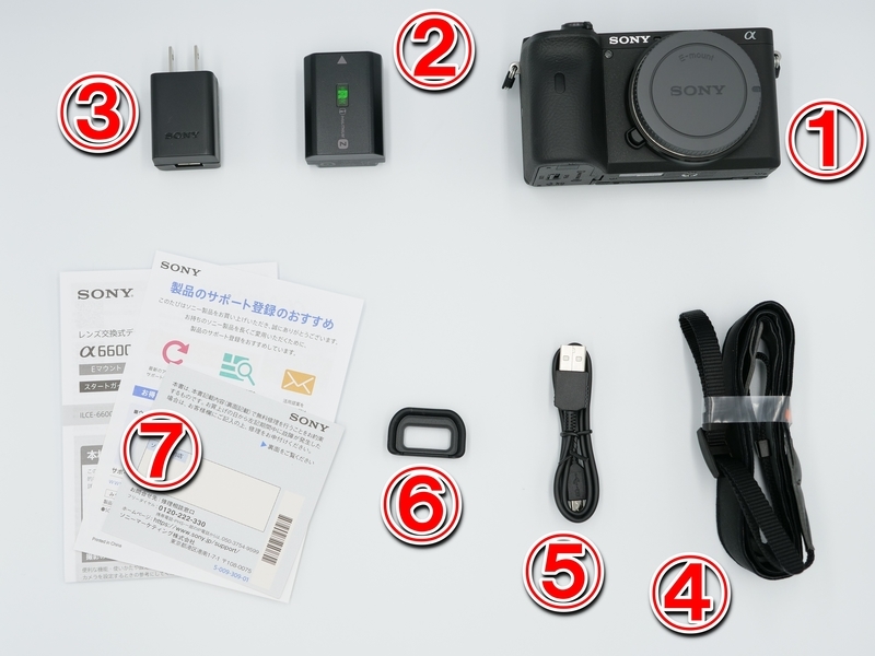 SONY α6600 本体と付属品 α6600 レビュー】SONYのAPS-Cフラッグシップモデルが遂に発売