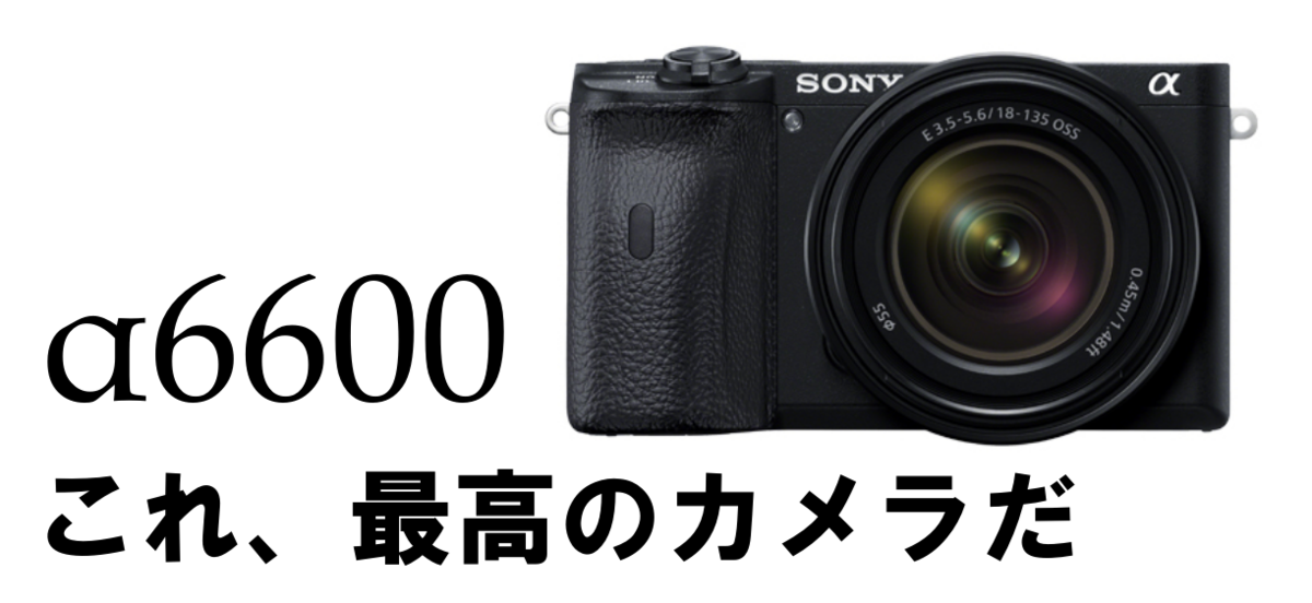 [専用] moco様ご対応用 sony α6600 + レンズなど quib3jo7nz4smac6ndx7yn27xhru?