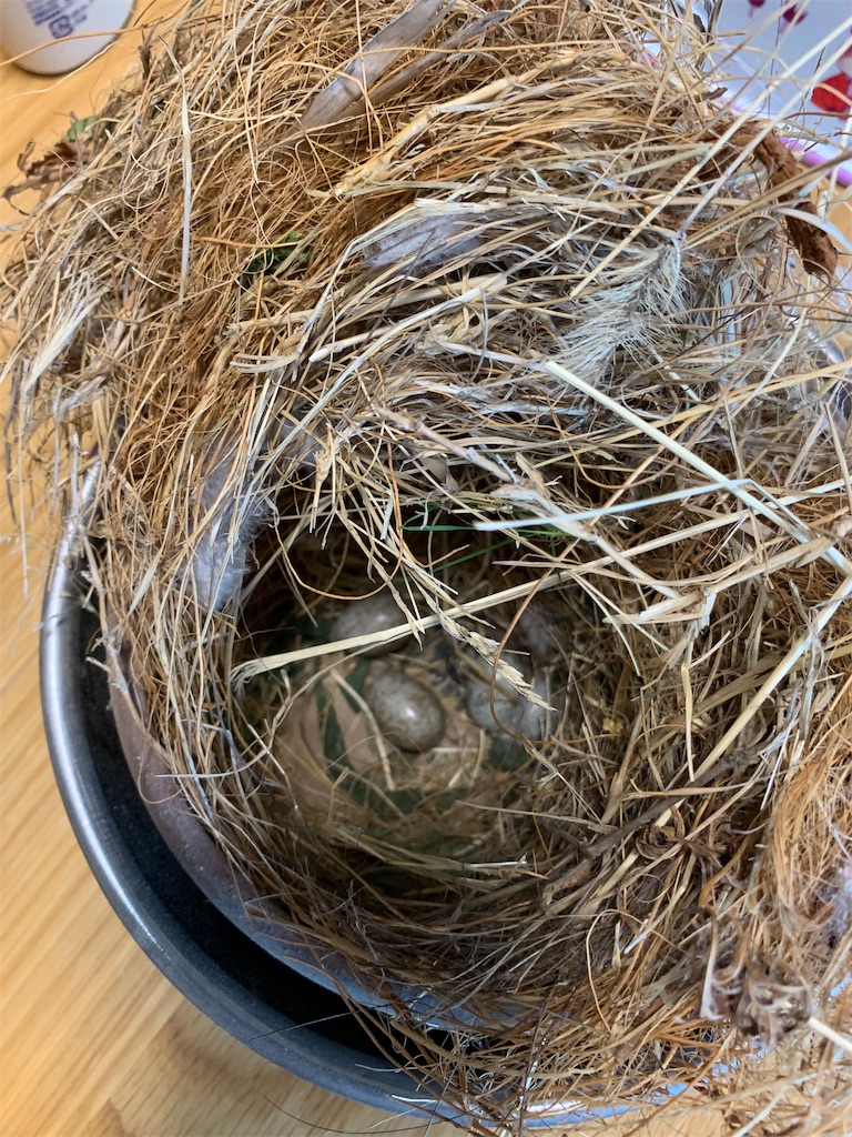 f:id:sassysas409:20190617183753j:image f:id:sassysas409:20190617183753j:image