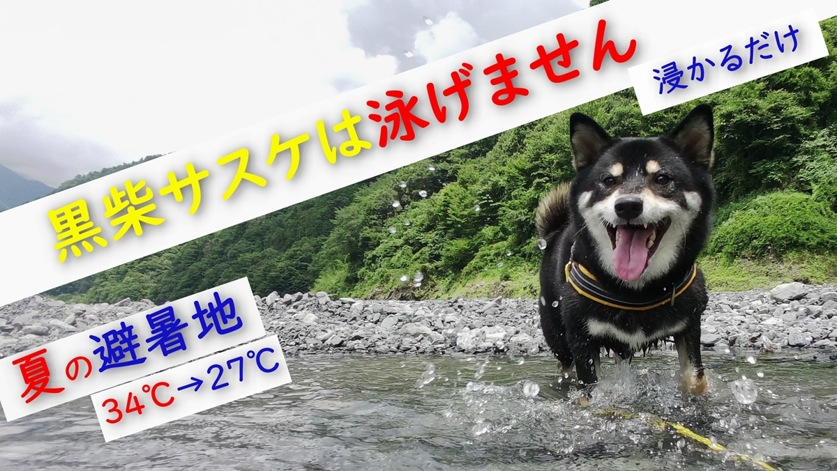 f:id:sasuchannel:20210914150903j:plain
