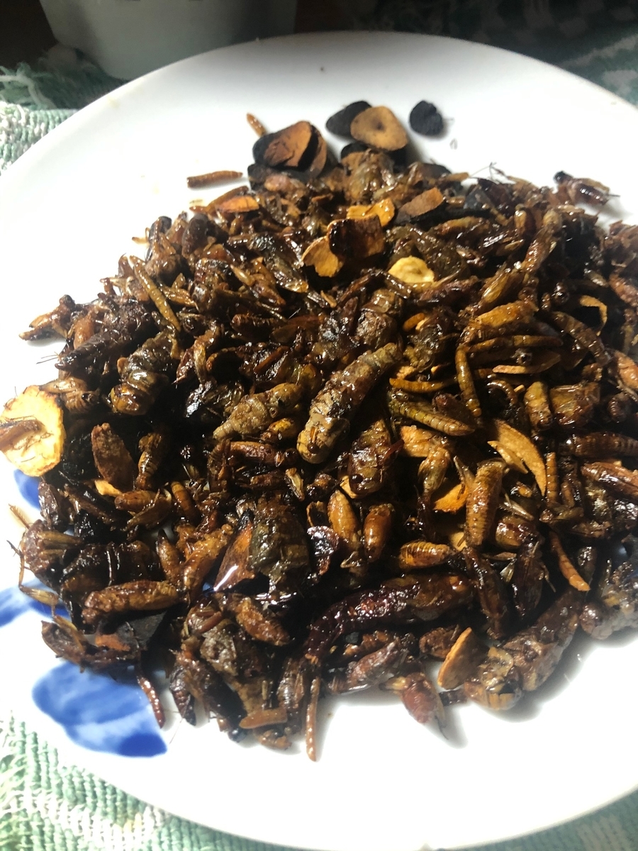 f:id:sasuga_magica:20200220223708j:plain