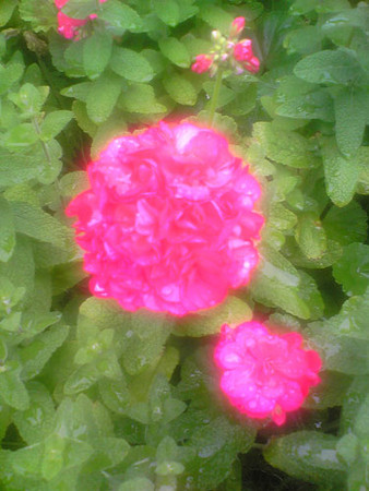 f:id:sasuke55:20080525020444j:image