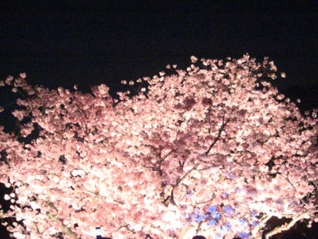 f:id:sasuke8:20090407223254j:image