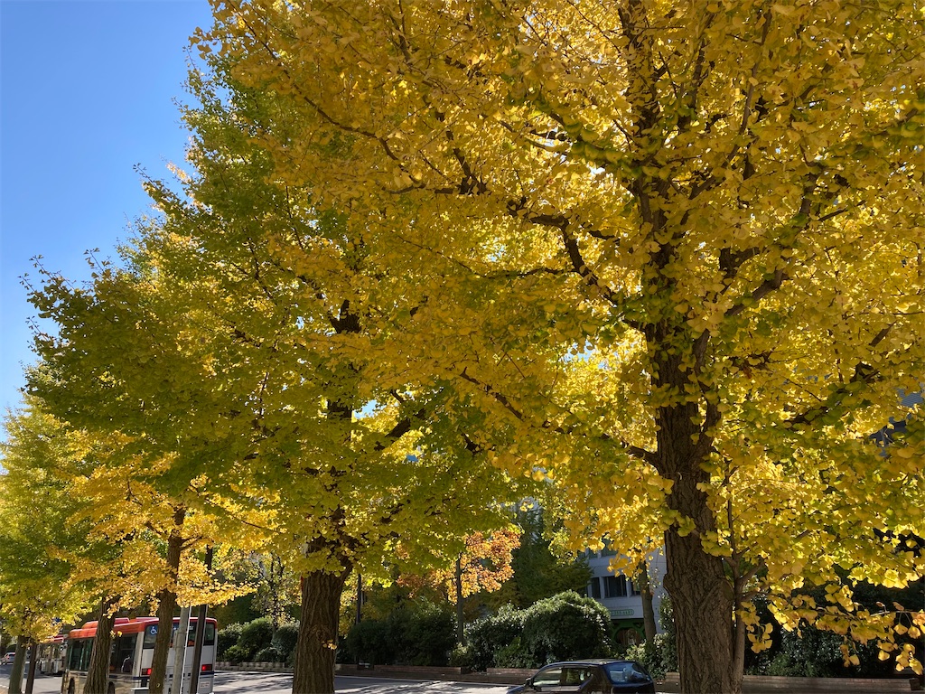 f:id:sasukiti:20211109074234j:image f:id:sasukiti:20211109074234j:image