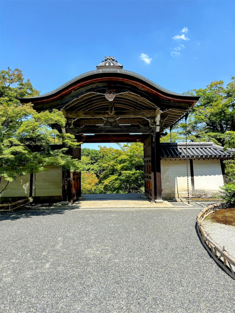 f:id:sasukiti:20240617073755j:image