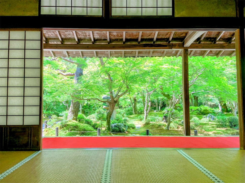 f:id:sasukiti:20240617215118j:image