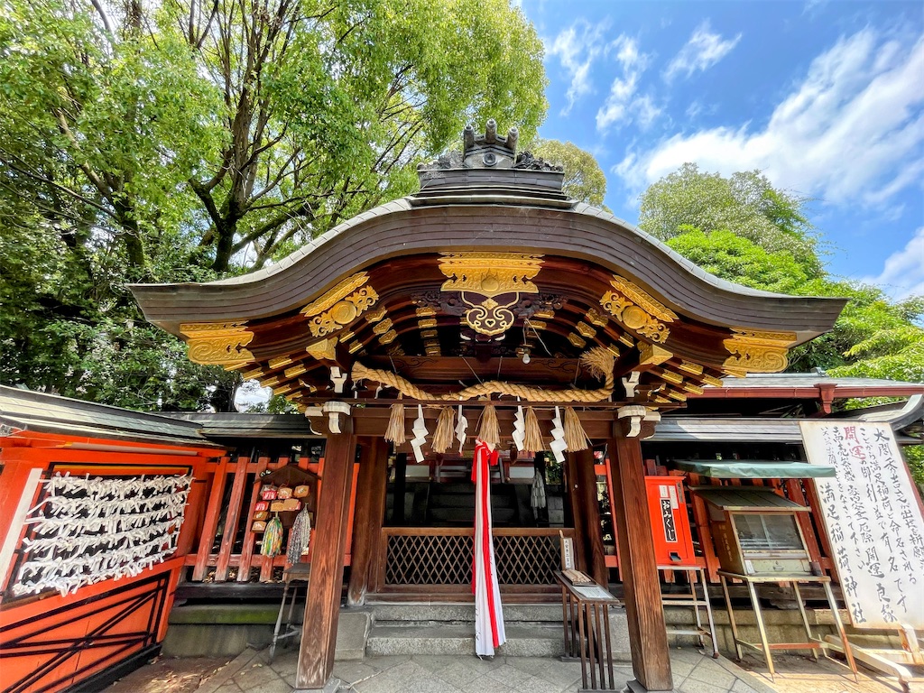 f:id:sasukiti:20240618000105j:image