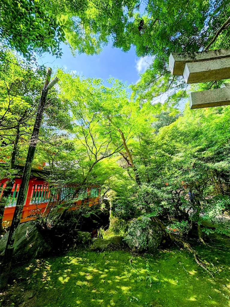 f:id:sasukiti:20240618001039j:image
