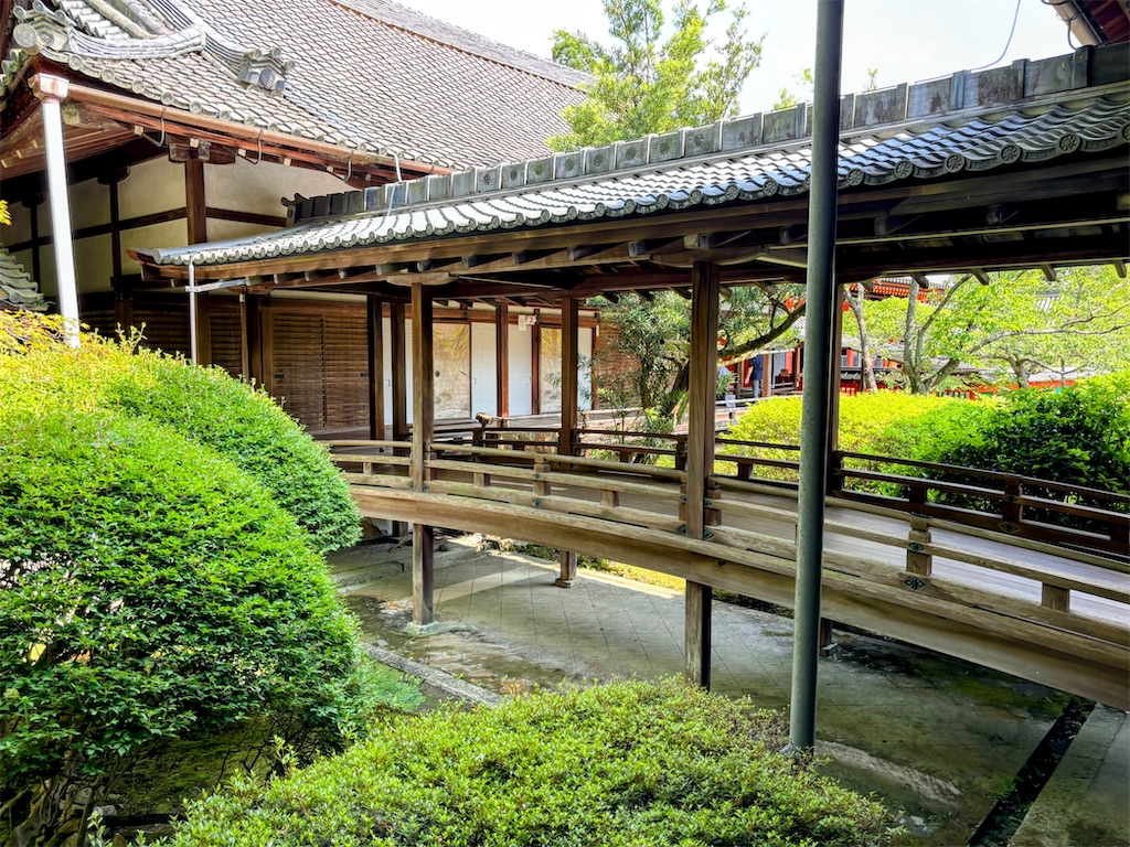 f:id:sasukiti:20240618001053j:image