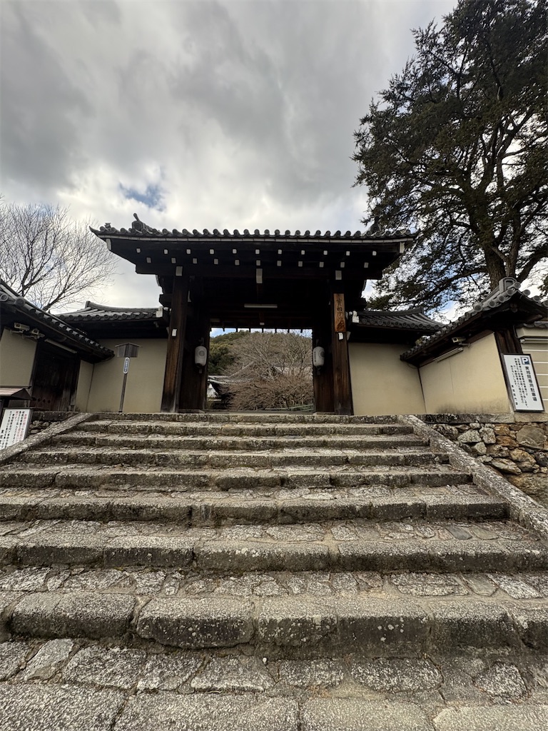 f:id:sasukiti:20250111154232j:image