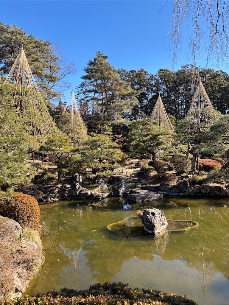 f:id:sasukiti:20250217062539j:image