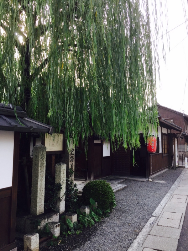 f:id:sasurai-neko:20161026115805j:plain f:id:sasurai-neko:20161026115805j:plain