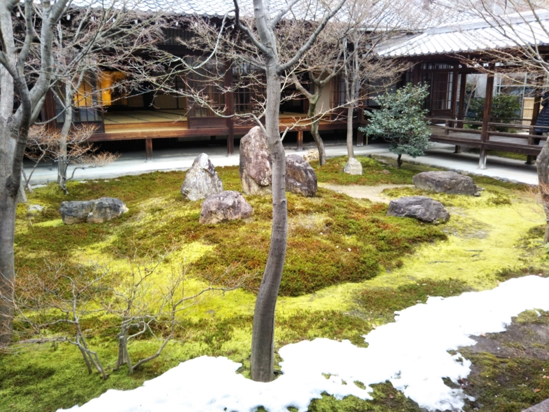 f:id:sasurai-neko:20170126002930j:plain f:id:sasurai-neko:20170126002930j:plain