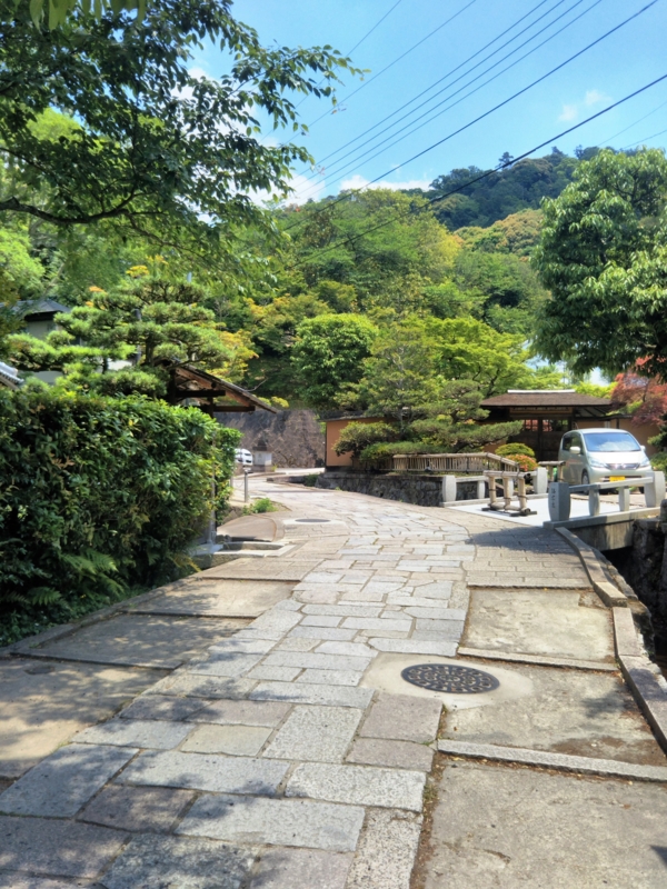f:id:sasurai-neko:20170527010225j:plain f:id:sasurai-neko:20170527010225j:plain