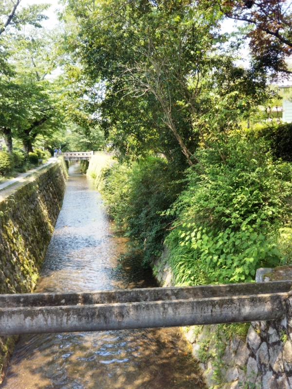 f:id:sasurai-neko:20170527010226j:plain f:id:sasurai-neko:20170527010226j:plain