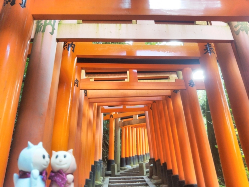f:id:sasurai-neko:20171031001857j:plain f:id:sasurai-neko:20171031001857j:plain
