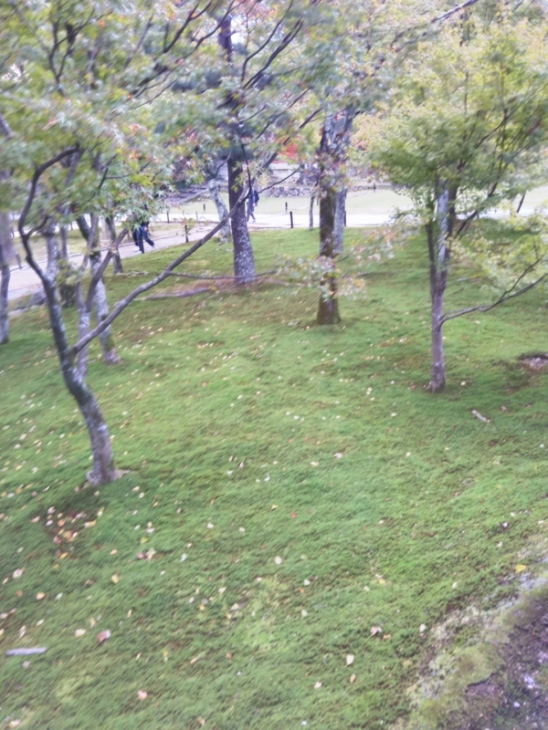 f:id:sasurai-neko:20171031002813j:plain f:id:sasurai-neko:20171031002813j:plain